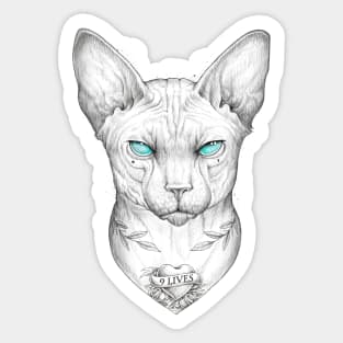 Sphynx cat Sticker